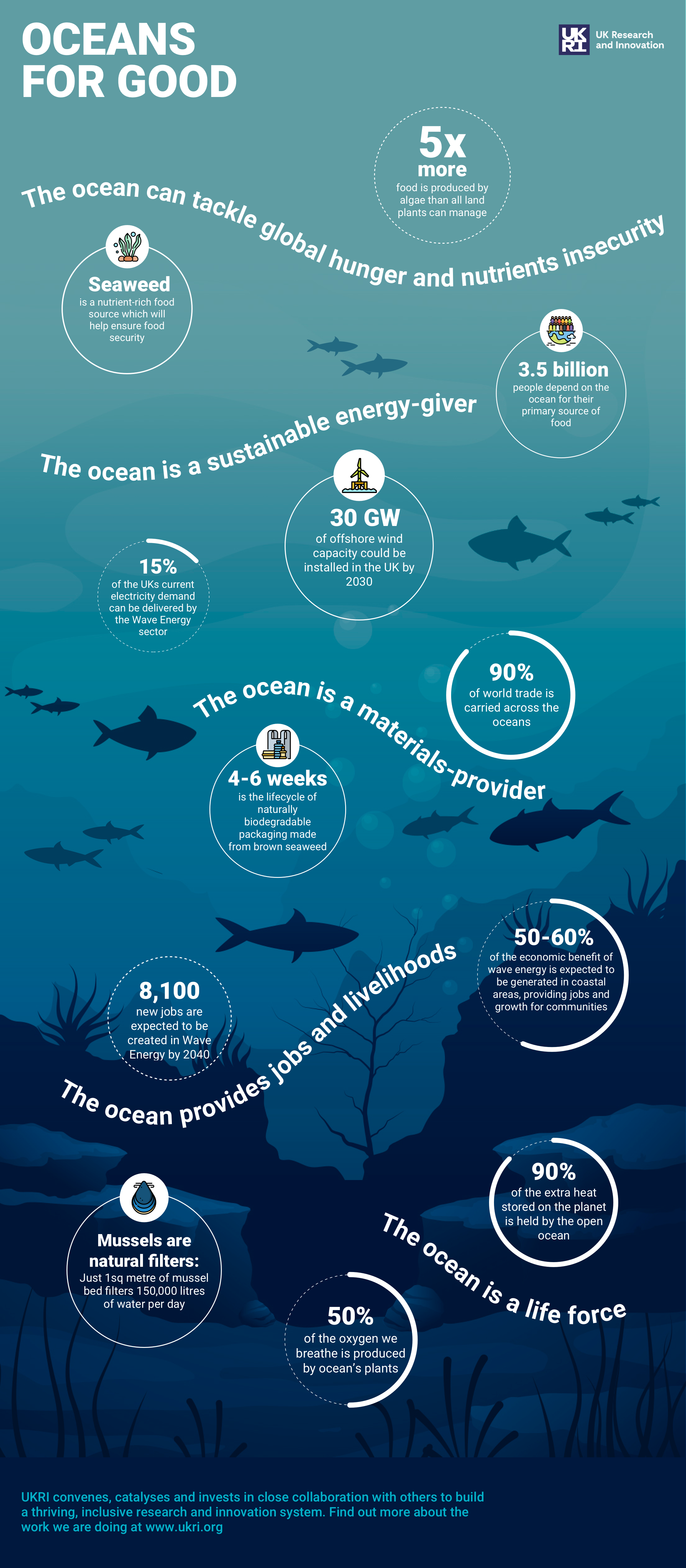 Oceans for good infographic